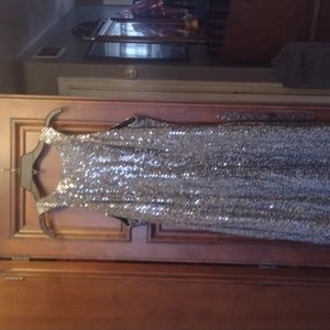 Misses Evening Wear Dress Size 12 (Silver)